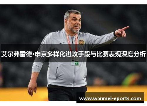 艾尔弗雷德·申京多样化进攻手段与比赛表现深度分析