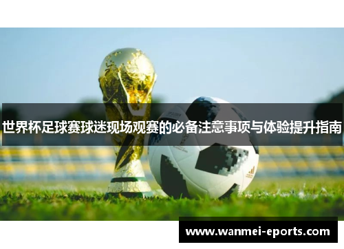 世界杯足球赛球迷现场观赛的必备注意事项与体验提升指南