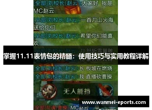 掌握11.11表情包的精髓：使用技巧与实用教程详解