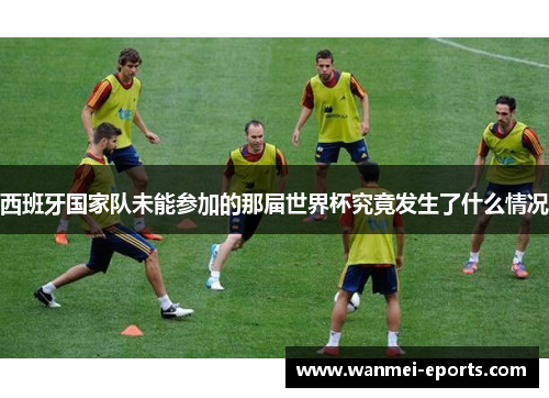 西班牙国家队未能参加的那届世界杯究竟发生了什么情况